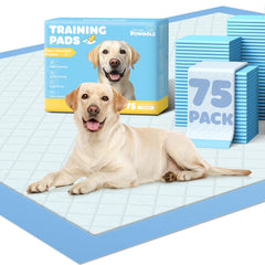 Powools Tapis propreté chiots 38x28 bleu, idéal pour le dressage à domicile.
