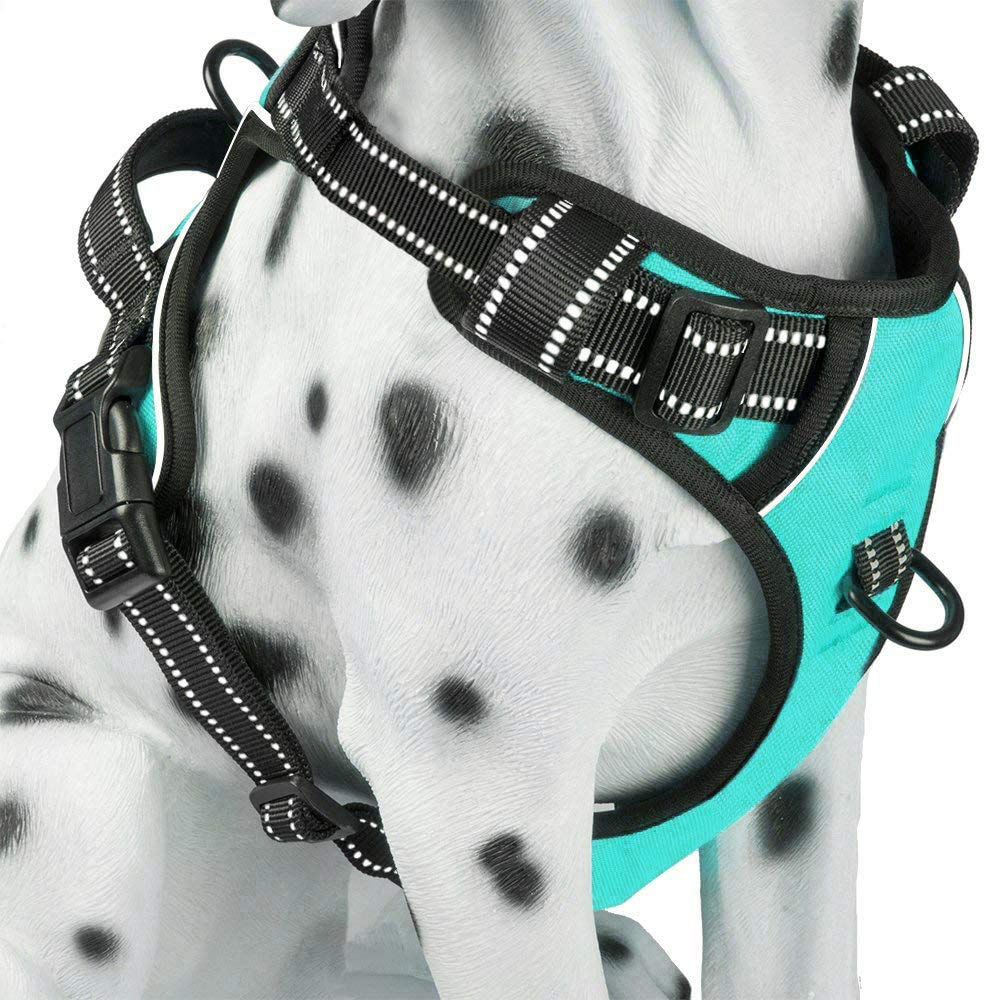 Harnais PoyPet anti-tirage avec attaches avant et arrière pour des promenades maîtrisées.