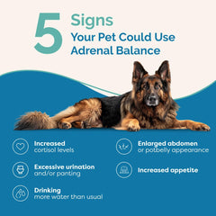 PranaPets Équilibre Surrénal – gouttes ajoutées à nourriture humide pour chien