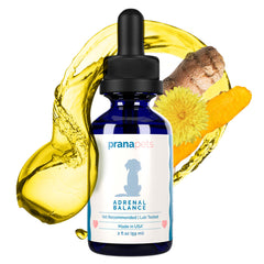 PranaPets Équilibre surrénal, bouteille: soutien naturel pour chien