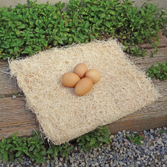 PRECISION PET boite-nid confort pour attirer les poules vers le nid