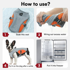 Anneau en D sur gilet chien Preferhouse, attache pratique pour la laisse