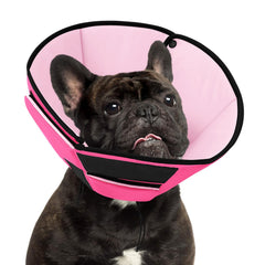 Preferhouse collier-cone-recup-chien-moyen-rose: protection ciblée et confort.