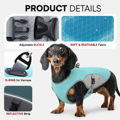 Preferhouse maillage respirant veste chien bleu taille XL, ventilation ideale pour les promenades.