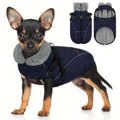 Veste Preferhouse pour petit chien avec zip dorsal : enfiler rapidement et chaleur.