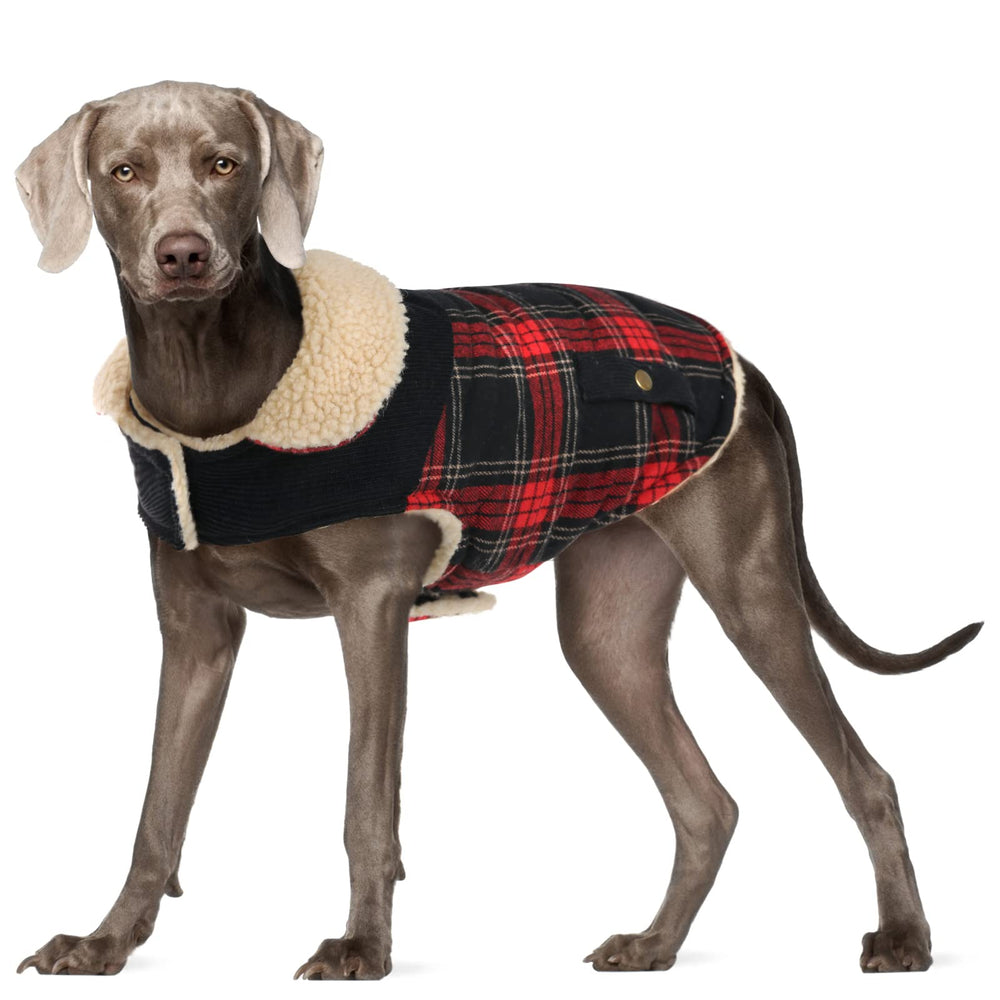 Preferhouse manteau hivernal pour petit chien — vue frontale, chaleur assurée.