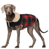Preferhouse manteau hivernal pour petit chien — vue frontale, chaleur assurée.