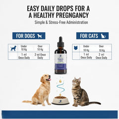 Application dans l alimentation animale avec Pregnapaws, pratique et rapide.