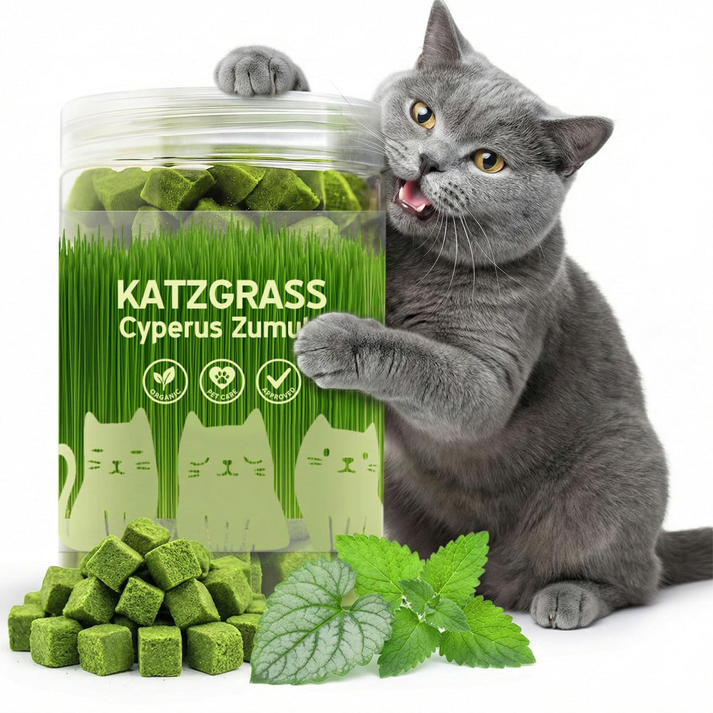 Friandises Prettypum dans le pot d’herbe pour chat, récompense croustillante et pratique.
