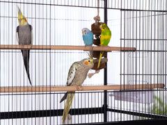 Porte d’accès large sur la cage PH Prevue Hendryx pour entretien.