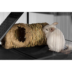 Refuge en herbe naturel Prevue Hendryx pour sessions de jeu quotidiennes.