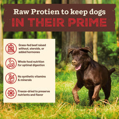 Croquettes Primal boeuf – ingrédients entiers, sans additifs synthétiques.