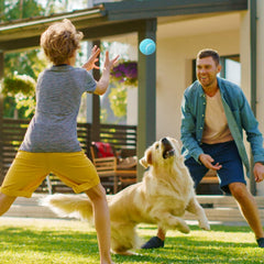 Prime Pets: balle tennis intérieur silencieuse, protège les sols.