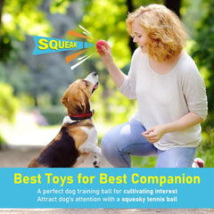 Prime Pets balle jaune: très visible, parfait pour jeux en extérieur.