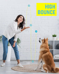 Prime Pets balle-tennis flotte sur l'eau pour les jeux en extérieur.