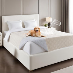 Housse PrinceDeco étanche pour canapé et chien, protégeant des taches quotidiennes.