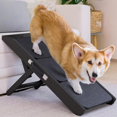 Rampe PRIORPET pour chien sur canapé, accès sûr et confortable.