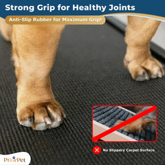 PRIORPET rampe non-glissante, surface adhérente pour chiens