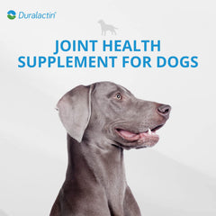 Vue sur les tablettes PRN Duralactin favorisant la mobilité canines.