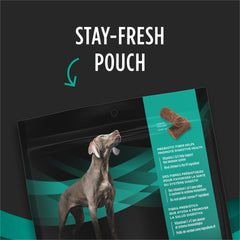 Fibre prébiotique naturelle soutenant la digestion chez le chien