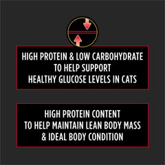Pro Plan DM chat croquettes haute protéine pour soutien potentiel du glucose.