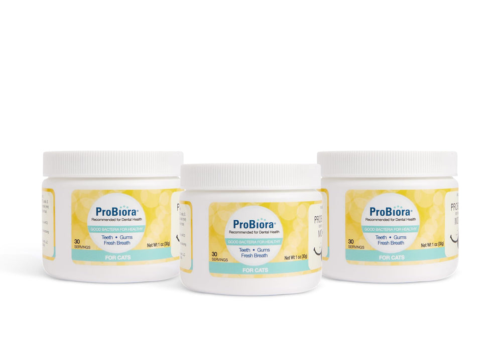 Probiora pour chats: poudre probiotique, soin dentaire pratique.