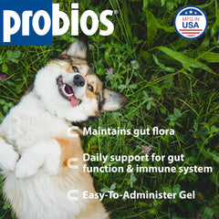 Tube Probios Probiocin Gel de 15 g prêt à l’emploi.