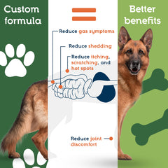 Probiotiques pour chiens: peau et pelage plus confortables grâce à une meilleure digestion.