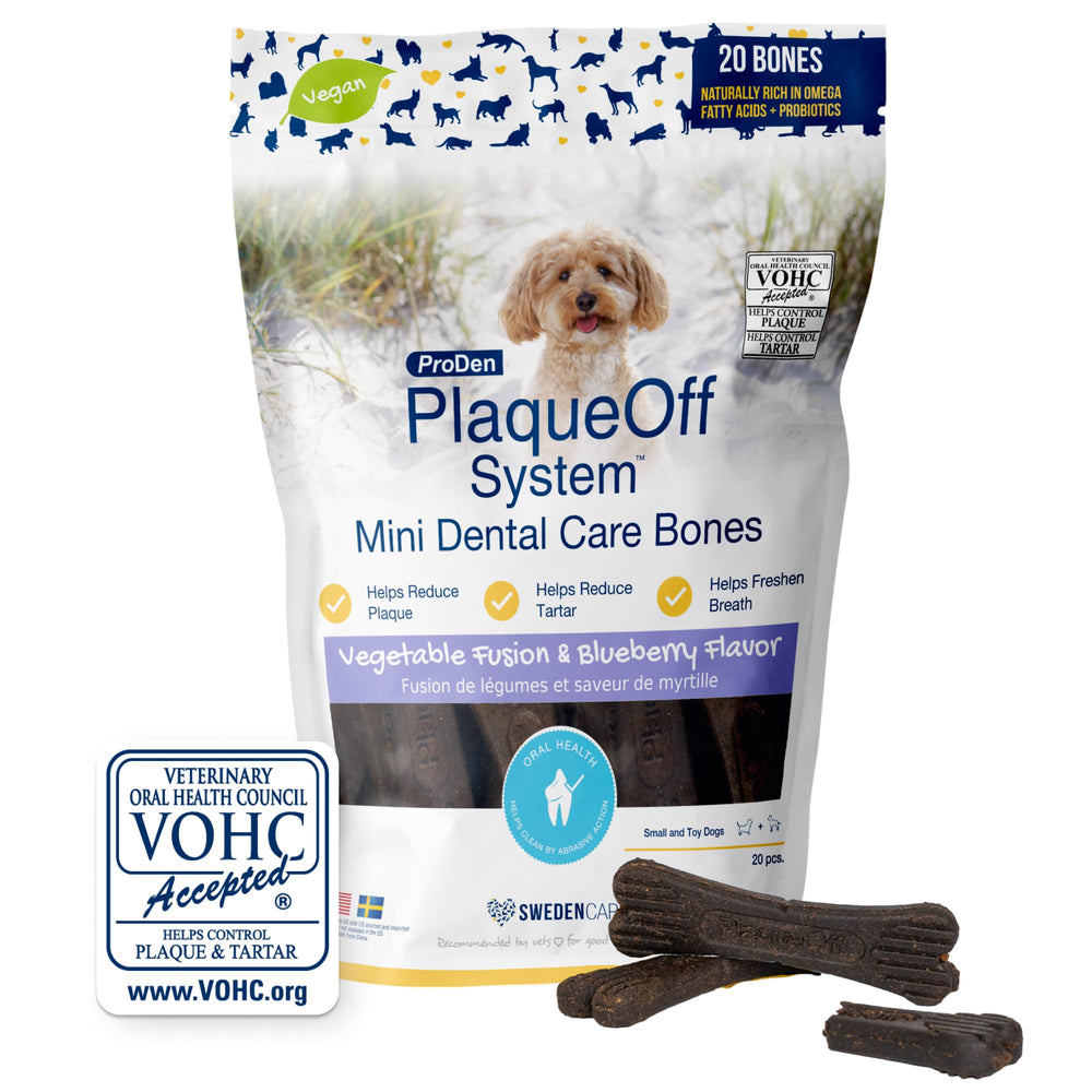 ProDen PlaqueOff Mini – os dentaires fusion végétale, nettoyage dentaire naturel.