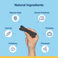 ProDen PlaqueOff System – gros plan ingrédients: patates douces et algues pour l'hygiène dentaire.