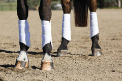 Bottes Elite XC de Professional's Choice, protection 360 degrés.