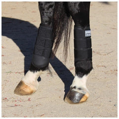 Professional's Choice Pro Performance Elite XC Boots, arrière droit, stabilité renforcée et protection pendant les parcours.