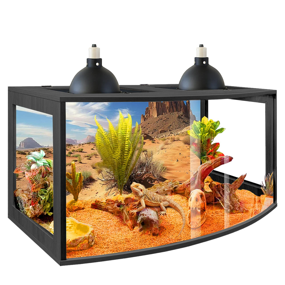 PROLEE terrarium dragon-barbu: avant-courbe pour vue large et réduction des reflets.