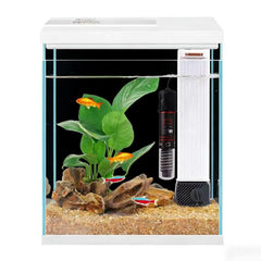 Pronetcus aquarium en verre 2 gallons avec vue nette sur vos poissons.