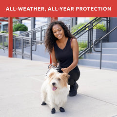Bottes anti-dérapantes Protex PawZ pour petites pattes, parfaites en hiver.