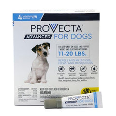 Provecta Avancé – application sur le poil du chien, zone ciblée.