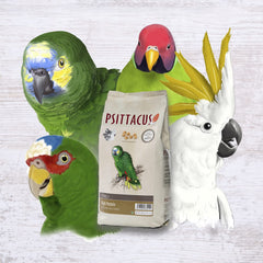 Produit sans OGM et sans colorants artificiels pour Psittacus High Protein.