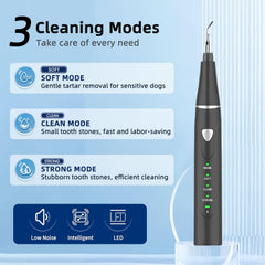Sonde dentaire double-face Psytpusa pour zones difficiles