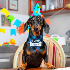 Bandana bleu carreaux PTDECOR pour chien moyen à grand, ajustement simple.