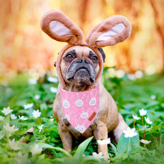 PTDECOR bandana paques rose taille-s, convient aux petits chiens.