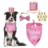 PTDECOR bandeau anniversaire chien, idéal pour les photos festives.