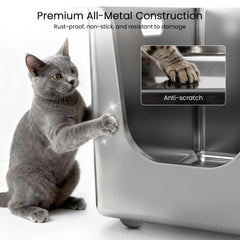 PTFFF litiere-acier-inox-entrée-incline-faible: accessibilité optimale pour chatons et chats âgés