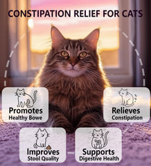 PuPulse Constipation Relief : bouteille visible, soutien digestif naturel pour chats