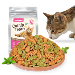 Puddonio cataire infuse attire le chat et stimule le jeu.