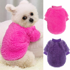Pull petit chien xs – ensemble 2 pièces pour hiver confortable