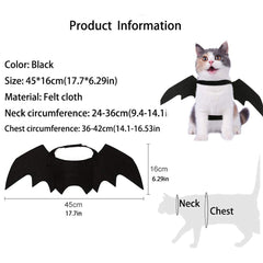 Puoyis réglage collier chat, s'adapte à diverses tailles.