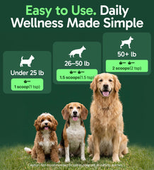 Pup Labs K9 Immune – champignon queue-de-dinde, antioxydants naturels