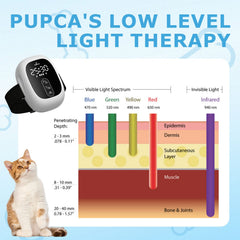 PUPCA tête DT, thérapie en profondeur pour les muscles et les articulations