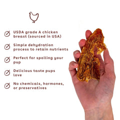 Odeur savoureuse Pupford jerky qui attire l’attention du chien lors des séances