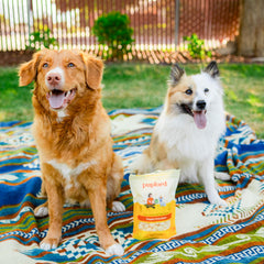 Assiette chien avec Pupford Cheese Crunchies, collation saine et délicieuse.